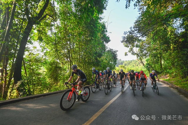 一路向暖，奔赴德宏！