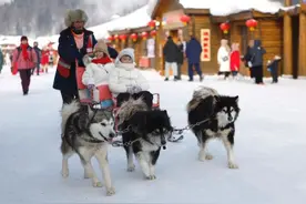 2025年春节旅游进入预订期，冰雪游、避寒游、跨境游受追捧图片