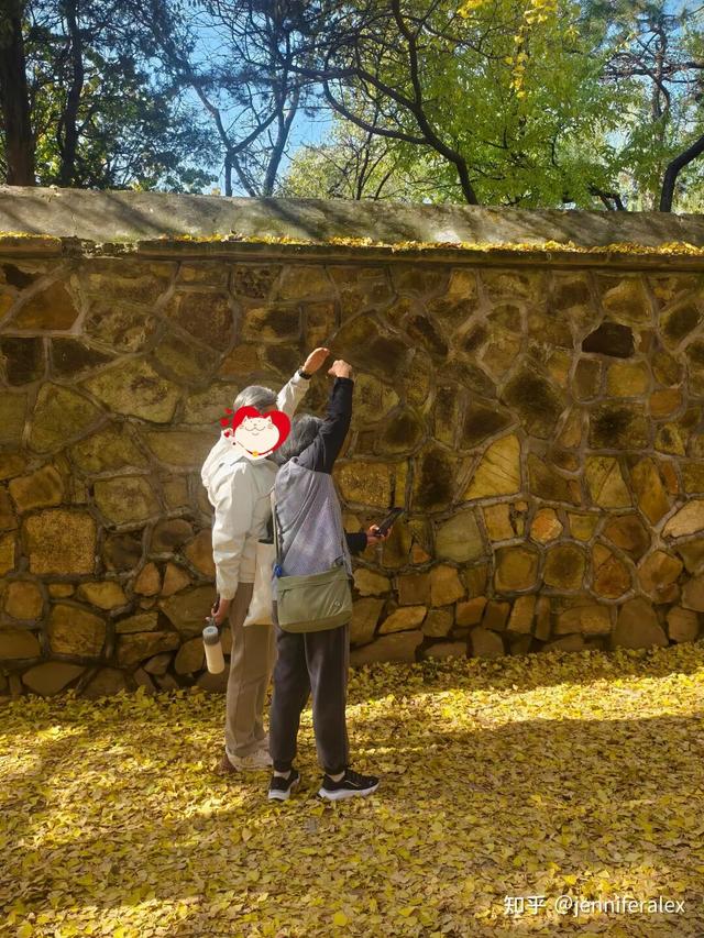 如何描述“北京的秋”？这是一期有温度的推送……