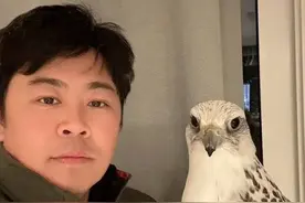 法国小镇兔子泛滥成灾，80后小伙抓野兔视频馋哭四川人图片