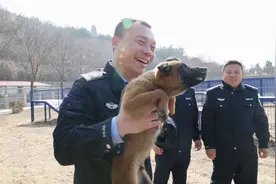 组图｜萌犬入列！山东省公安厅警犬训练基地为8市配发36头优质警犬图片