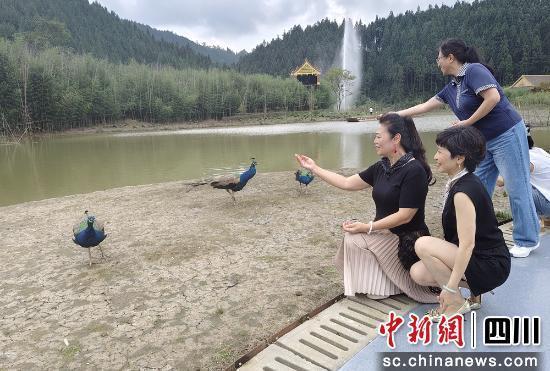 雅安雨城：聚力打造南线旅游新业态
