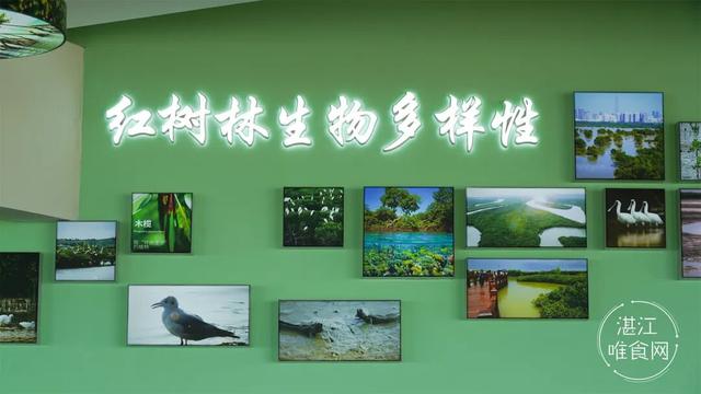 湛江最新漫游攻略！打工人的假期精神快充→