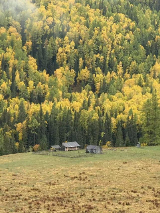 全网一致认定：最短的秋天，才是最贵的奢侈品