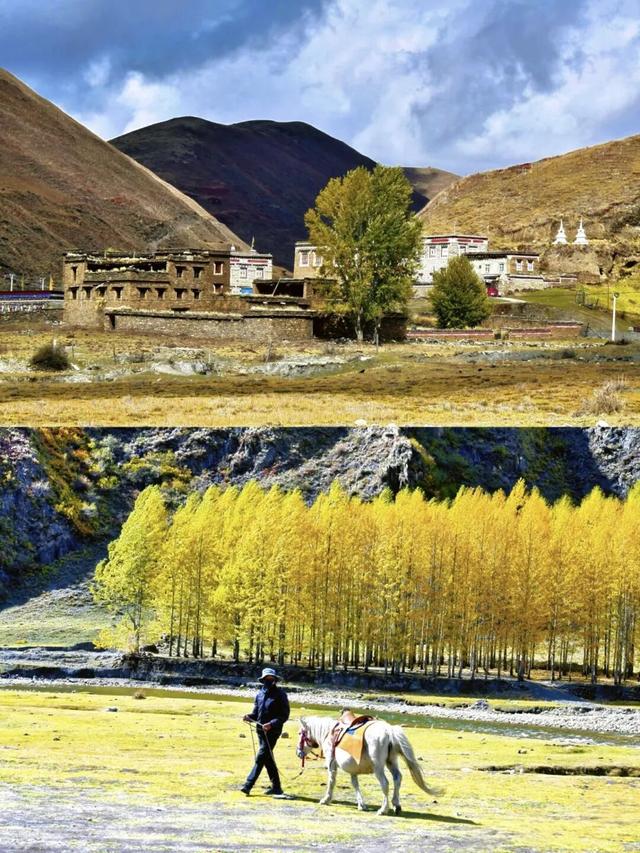 听说放秋假了？新都桥这波秋日余温太美了