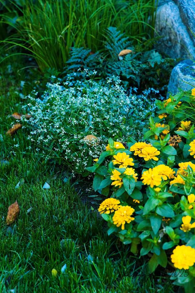 副中心的秋日画板已备好，等你来上色！