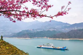 川观夜读丨踏青赏花享春光；工业科技闪耀天津工博会；走进伊拉克巴比伦古城遗址图片