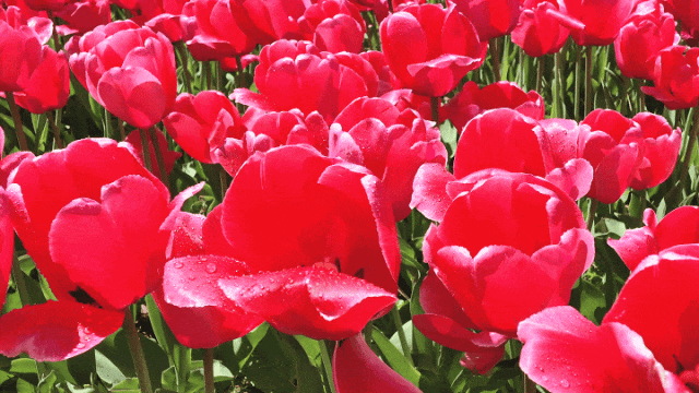 乘着高铁游威海 | 千里山海，等你！