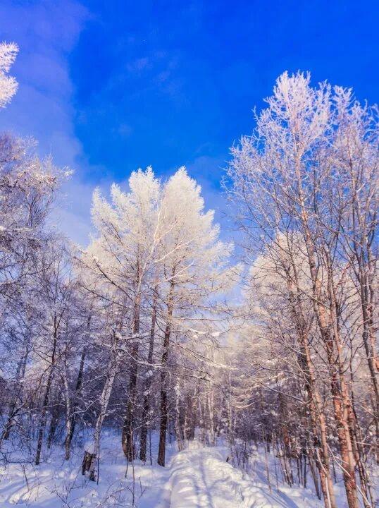 呼伦贝尔的冬 值得奔赴