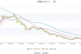 天融信：2024年上半年亏损2.06亿元 拟10派0.18元图片