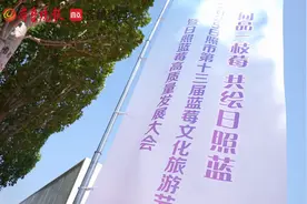 日照冬天不冷夏天不热，土壤透气性好，是全国最适宜的蓝莓产区图片