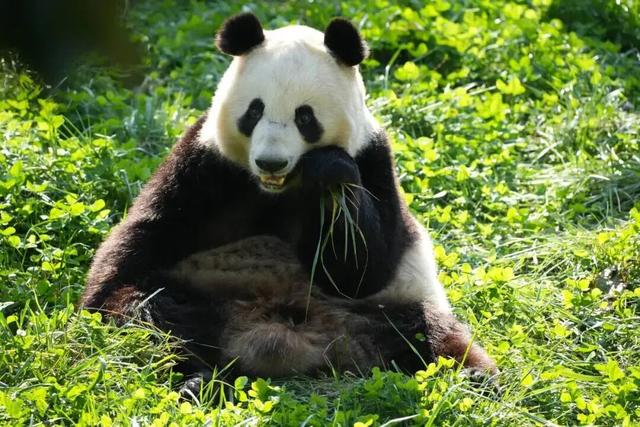 动物园优惠福利，秋游溜娃一站式搞定～