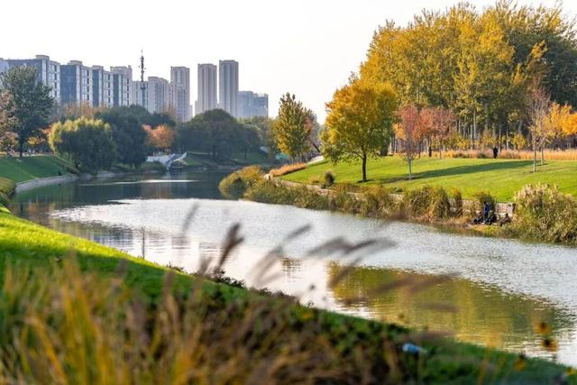 今年，朝阳有“加长版”秋日心动