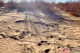 【甘快看】瓜州“沙”事图片