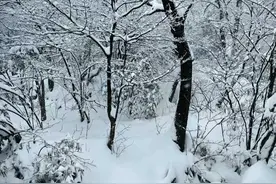 上万人涌来！多地紧急提醒：交通管制！暂停开放！图片