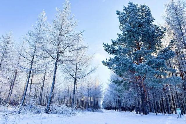 御道口草原森林风景区的冰雪之美