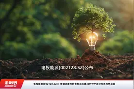 电投能源(002128.SZ)：核销赤峰市阿鲁科尔沁旗40MW户用分布式光伏项目视频封面