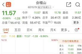 押宝气泡黄酒！会稽山两连板后跌停，年轻化能否成破局之道图片