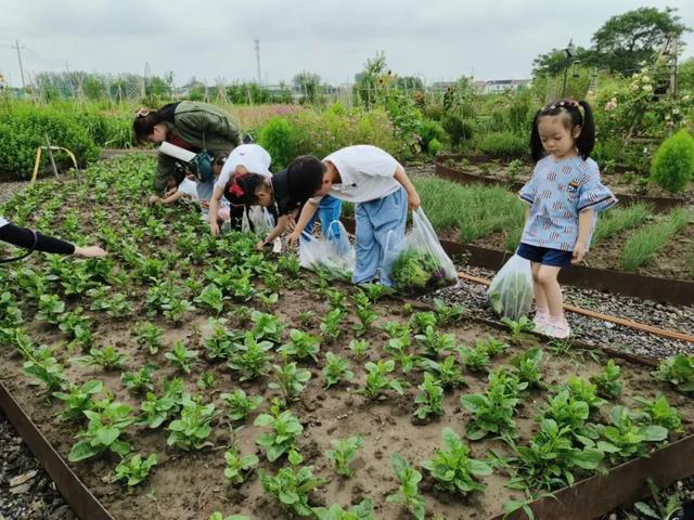 扬州小众度假指南：国庆就去七河八岛，这几家美宿让你躺着看风景！