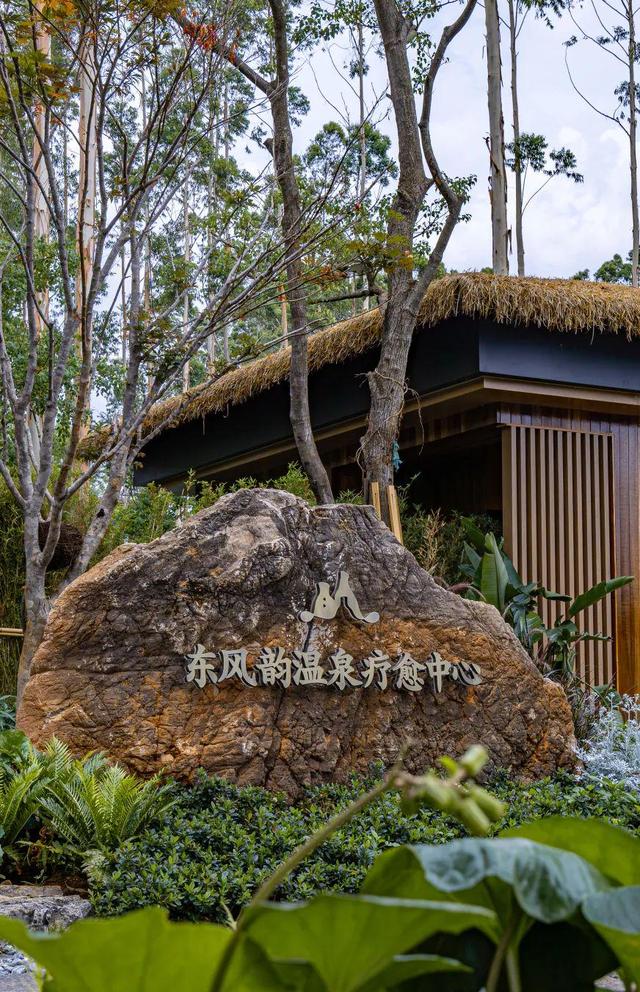 首次发布！弥勒2地2酒店上榜！