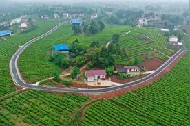 经“桑”有道！资阳乐至东山镇入选国家农业产业强镇图片