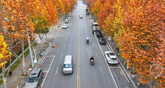 湿地公园 冬景如画