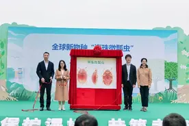 保护生物多样性，让城市更美丽图片