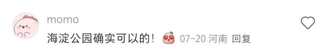 海淀公园＋落日音乐会=“一点点放松，许多许多欢喜”