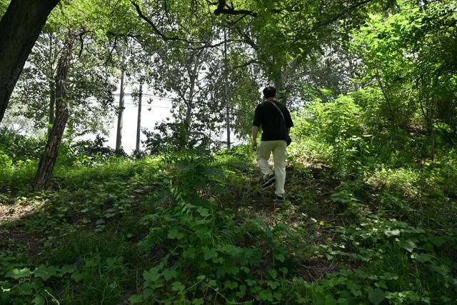 解锁副中心“冷知识”｜运河水利遗迹这里特别多