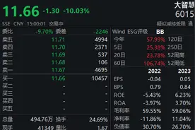 二股东欲“清仓式”减持，大智慧大跌10%！公司最新回应图片