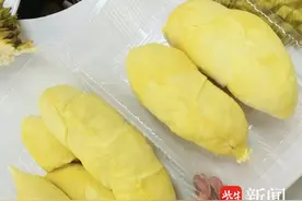 小丽逛菜场|榴莲价格腰斩？你不会错把“报仇”干尧当作“报恩”金枕了吧图片