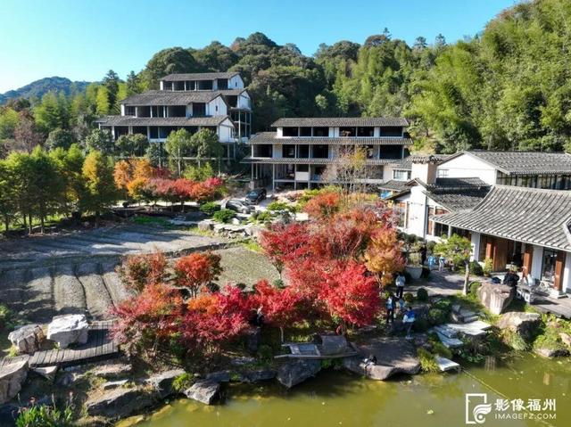 色彩斑斓！福州迎来红叶季