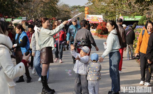 秋日赏菊正当时，老年游客成主力