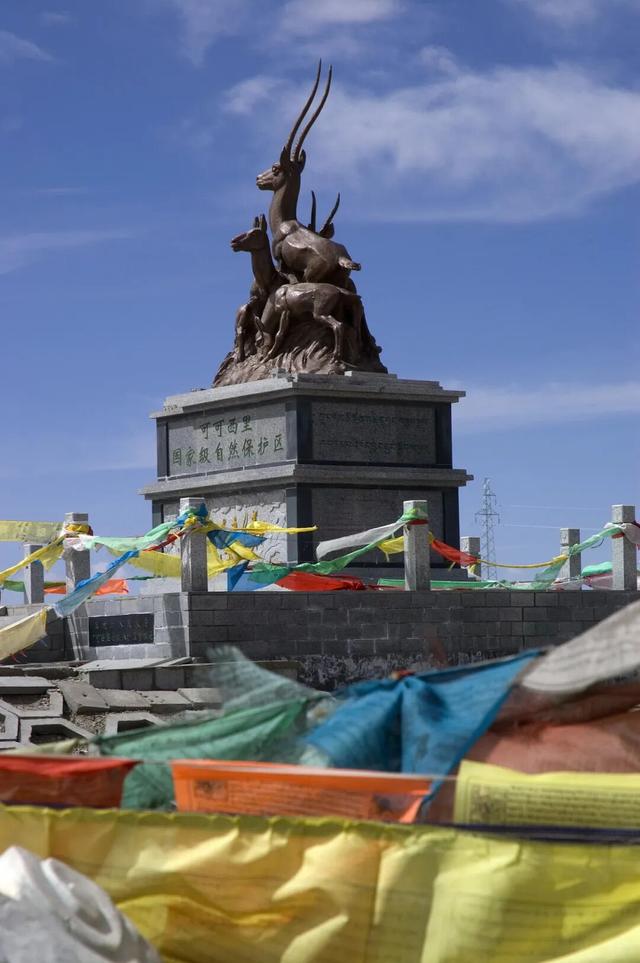 中国最伟大的荒野，从盗猎战场到生命乐园