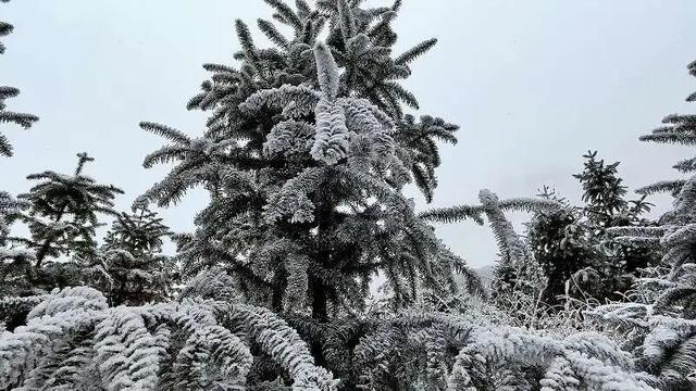 桂林全州变身冰雪童话世界，美不胜收→