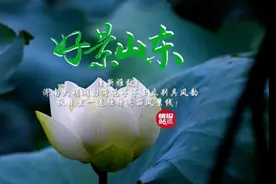 果然视频·好景山东|秋日里济南大明湖白荷花清新雅致，别具诗意图片