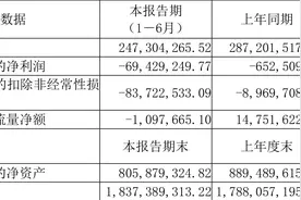 气派科技：2023年上半年亏损6942.92万元图片