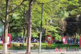 兰州市民反映和政路存在怪现象:旧路灯不拆,新路灯不用,为何?图片