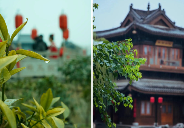太好了！洛阳这场“补水喷雾”终于要停了！
