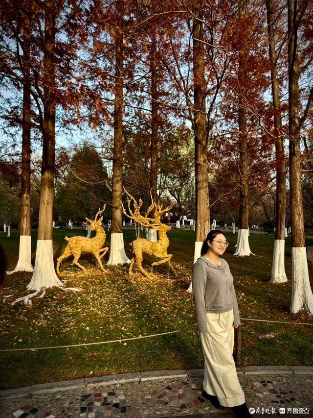 五龙潭公园里水杉林里，“跳”进来两只银杏鹿