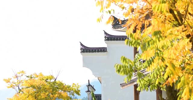 西冲玉带景区:徽派建筑与斑斓秋色的诗意交响