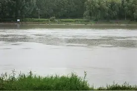 郑州发布贾鲁河洪水蓝色预警！记者实探沿河水位，发现仍有市民带孩子玩水图片