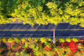 “浅绿”变“深绿” 吴堡实现生态环境“高颜值”图片