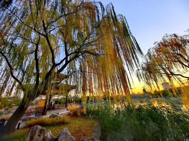 太美了！北京紫竹院如油画般梦幻
