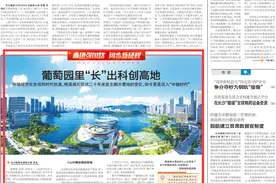 葡萄园里“长”出科创高地丨“见证·长沙地标看巨变”图片