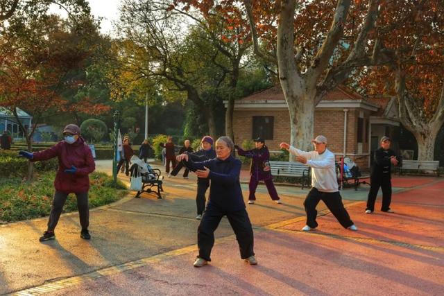长宁的秋叶，红得醉人……