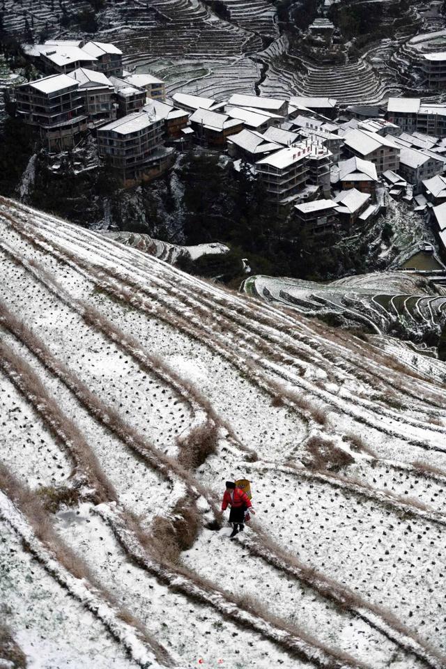 多地下雪！广西限定版“冰雪世界”已上线