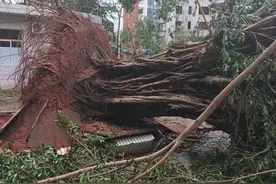 救援与自救：台风“摩羯”亲历者的24小时图片
