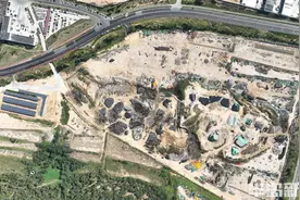 科技强“芯”，青威携手打造海上种业之都！图片