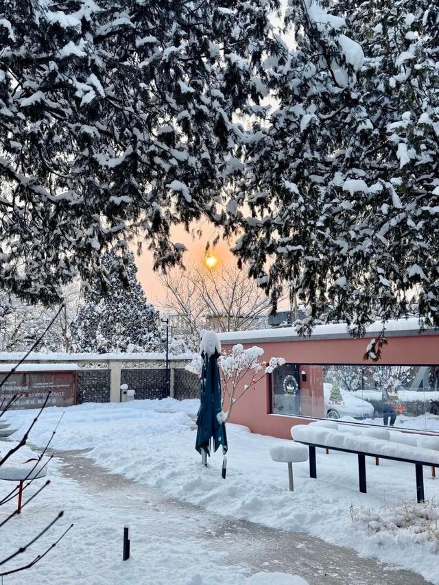 雪后香山！北京冬日浪漫天花板，快来打卡